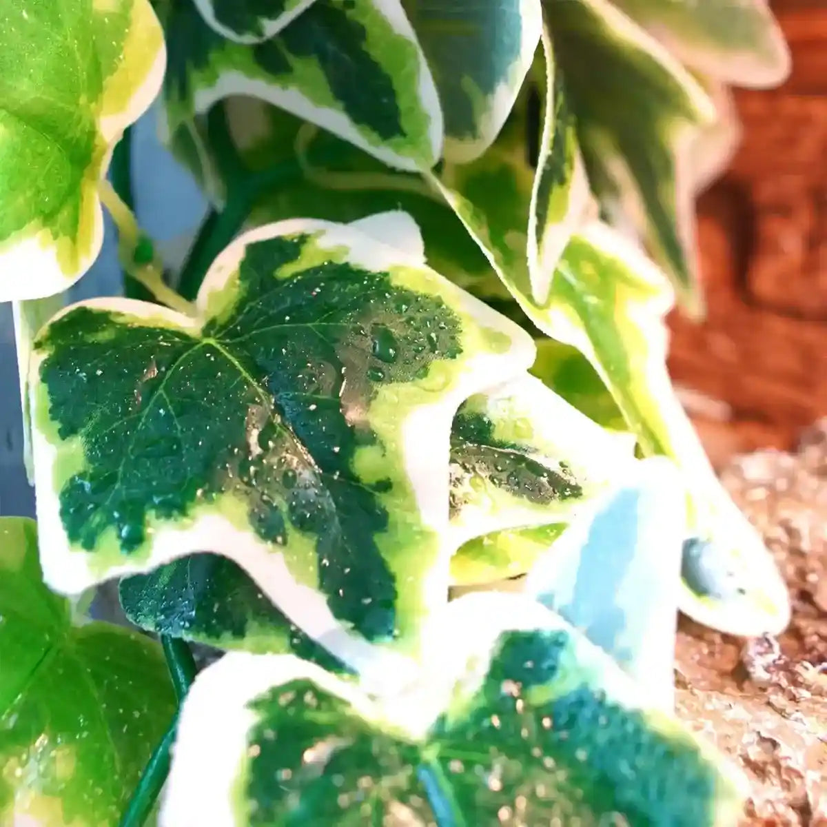 Reptile Habitat Artificial Ivy Vine for Terrariums and Cages