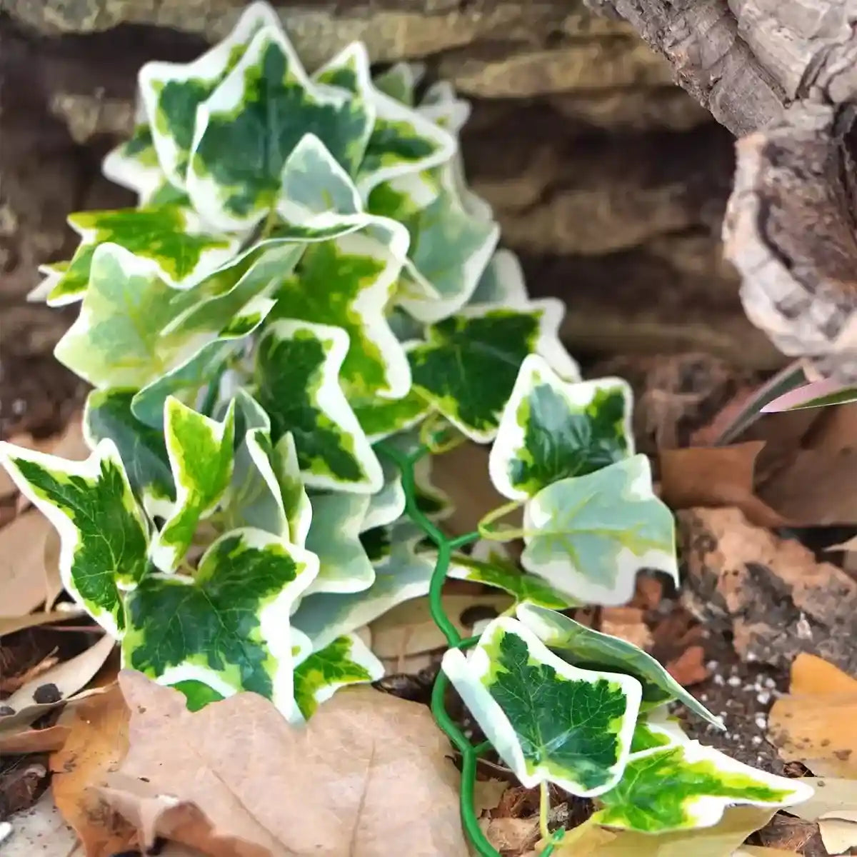Reptile Habitat Artificial Ivy Vine for Terrariums and Cages