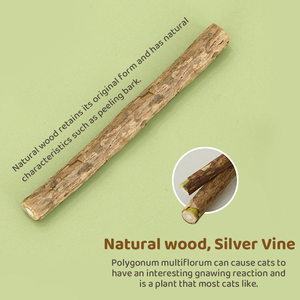 Simulation Shallot Cat Toy with Silvervine