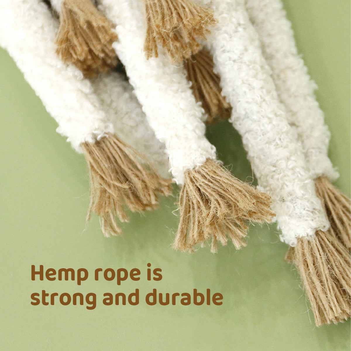 Simulation Shallot Cat Toy with Silvervine