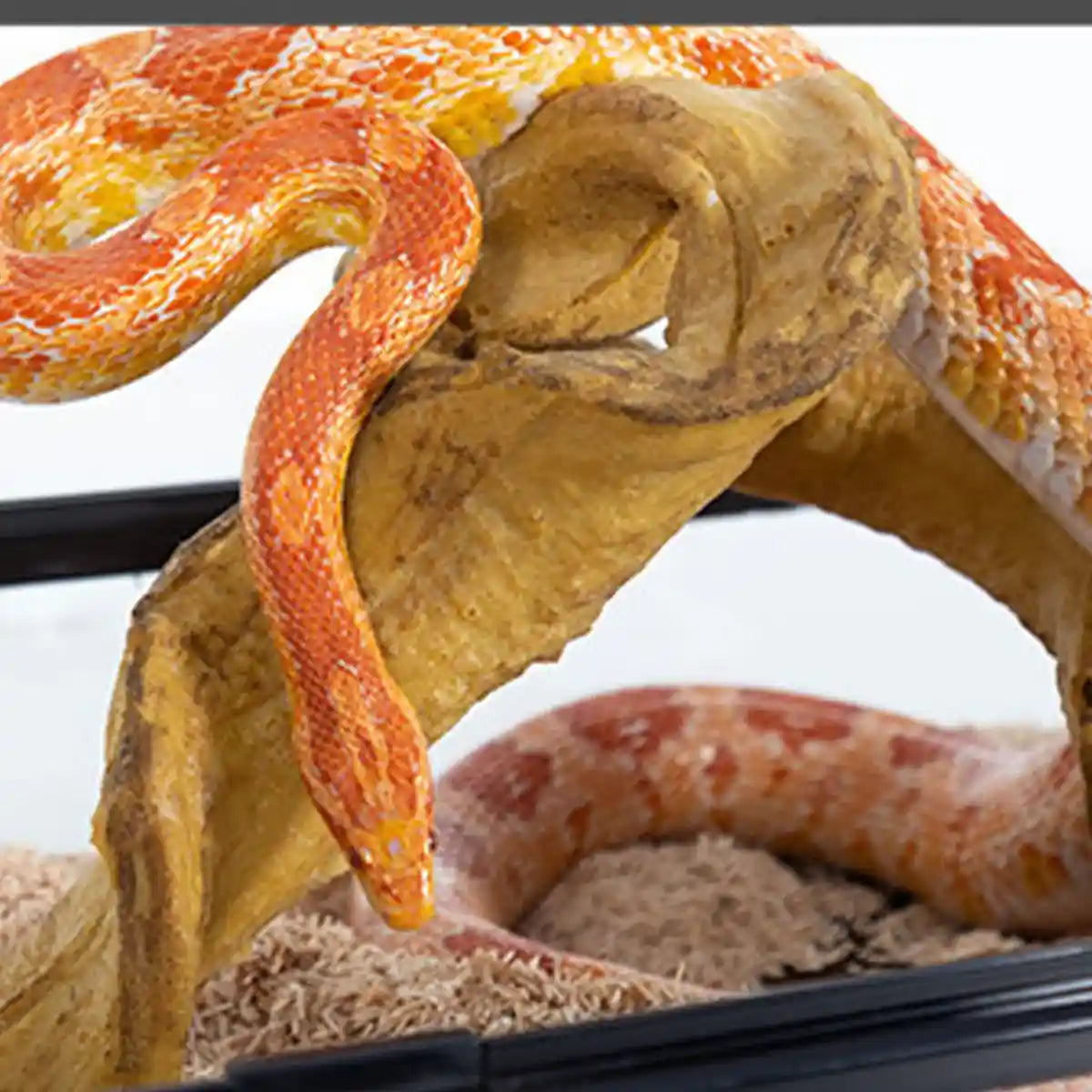 Flexible Reptile Climbing Vine 60cm PU Simulation Branch for Terrarium