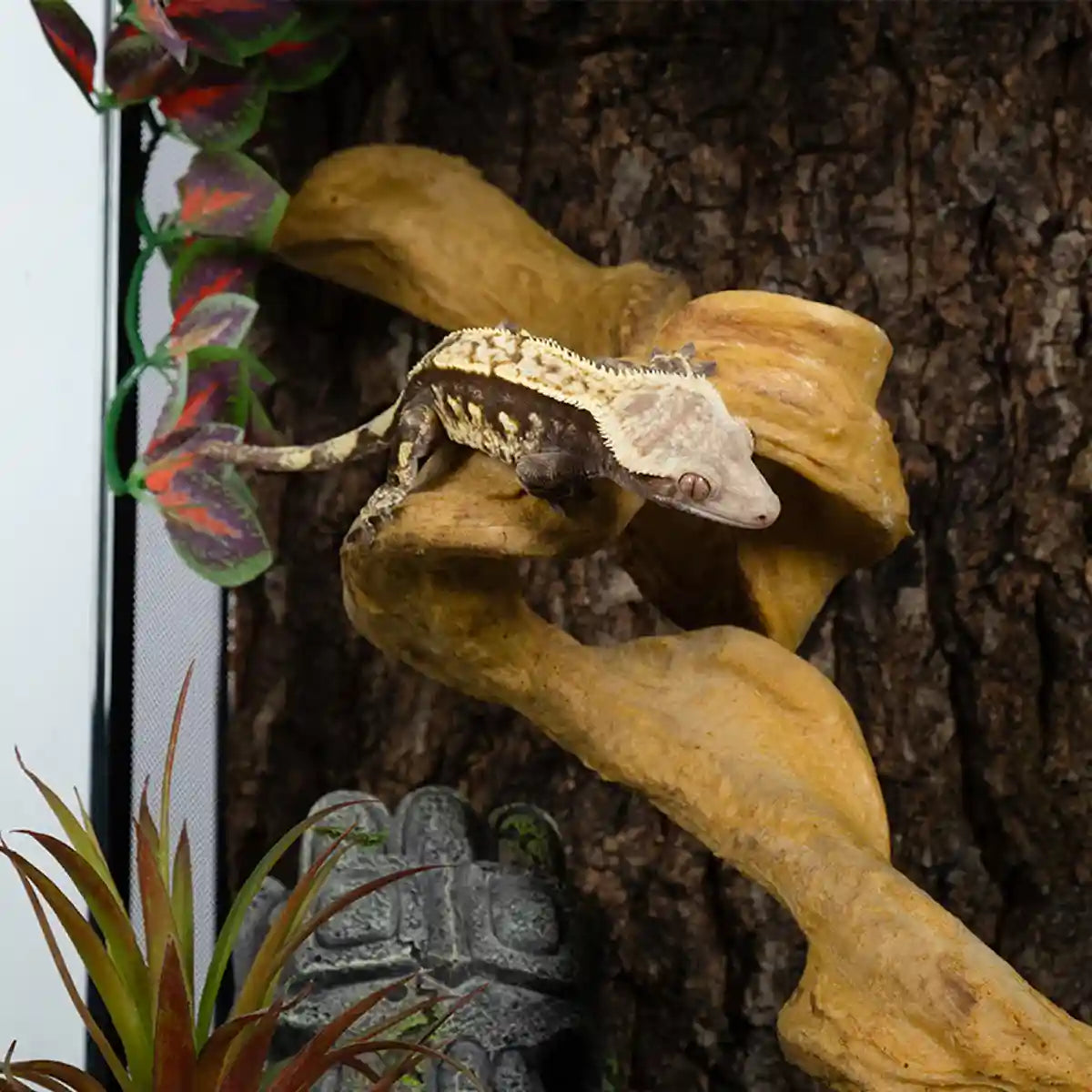 Flexible Reptile Climbing Vine 60cm PU Simulation Branch for Terrarium