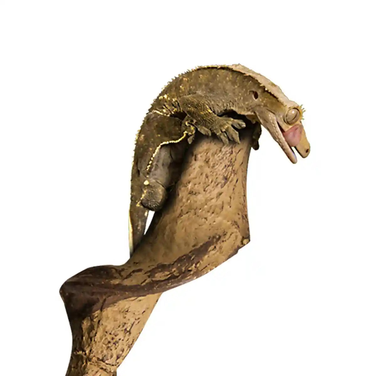 Flexible Reptile Climbing Vine 60cm PU Simulation Branch for Terrarium