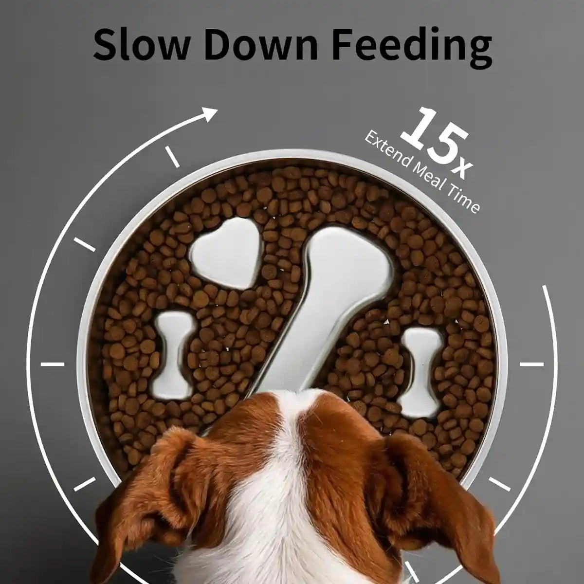 Stainless Steel Dog Slow Feeder Anti-Choke Pet Feeding Dish