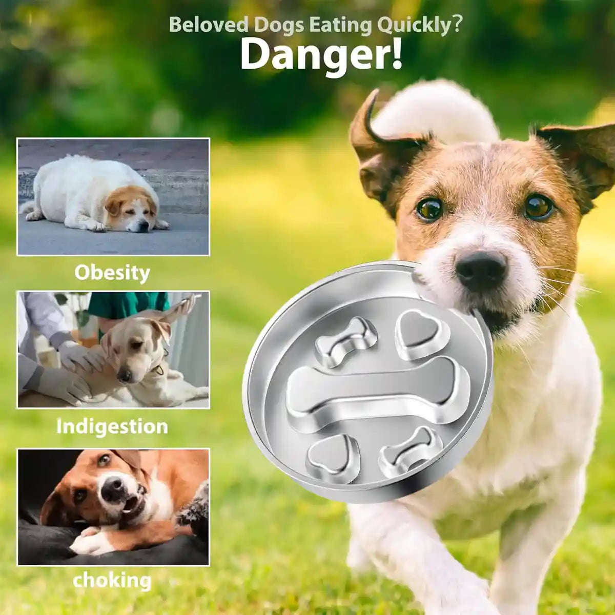 Stainless Steel Dog Slow Feeder Anti-Choke Pet Feeding Dish