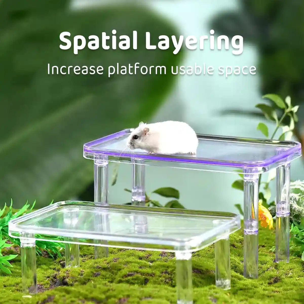 Hamster Platform Second Floor Cage Accessory
