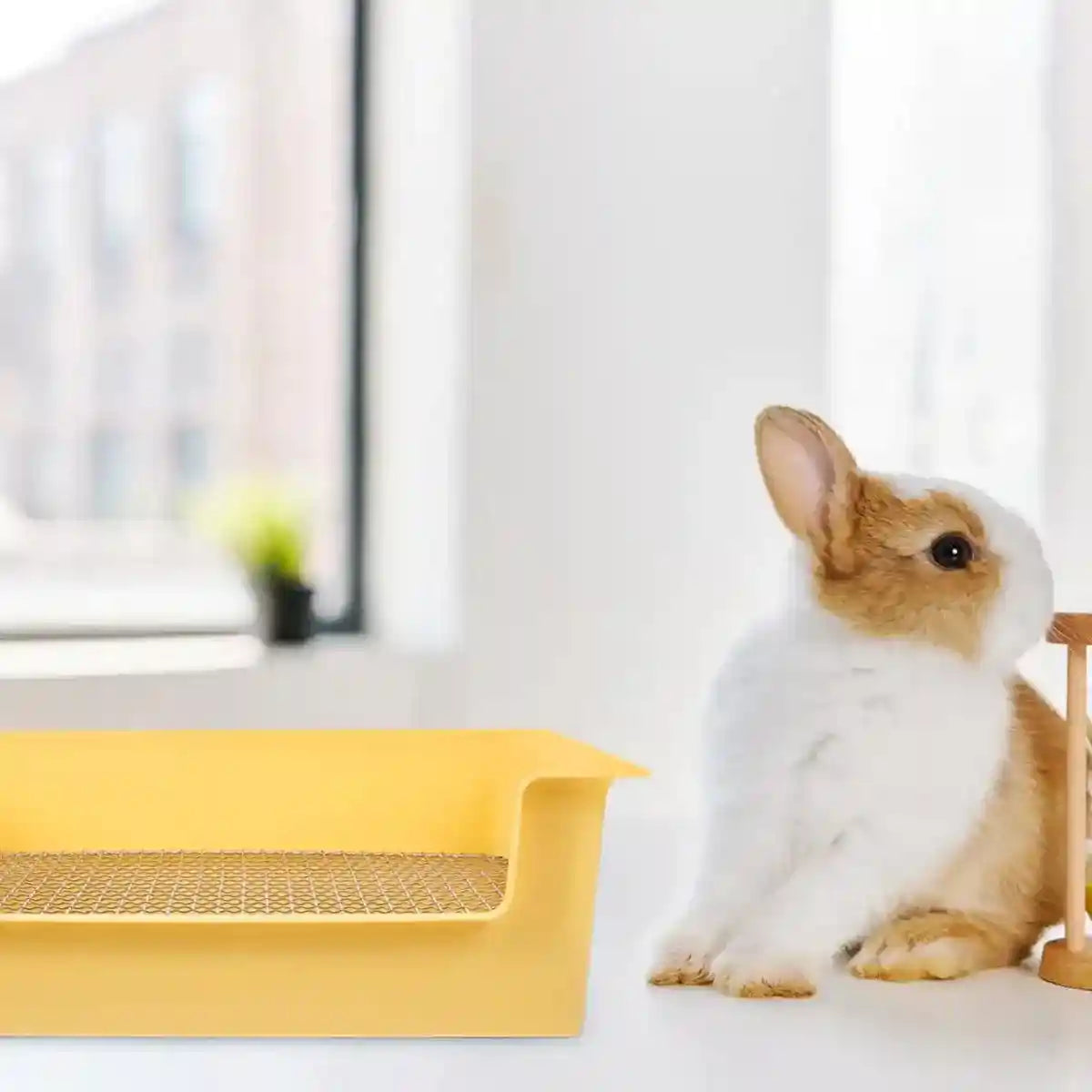 Hygienic Cage Setup with Stainless Grid Rabbit Litter Box