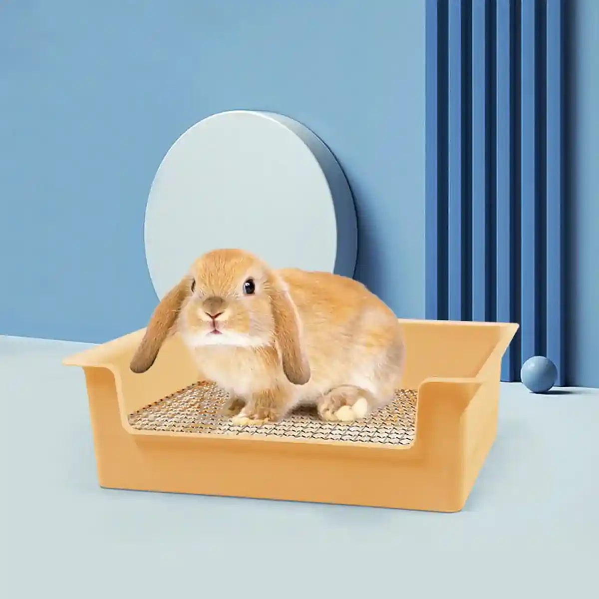 Hygienic Cage Setup with Stainless Grid Rabbit Litter Box