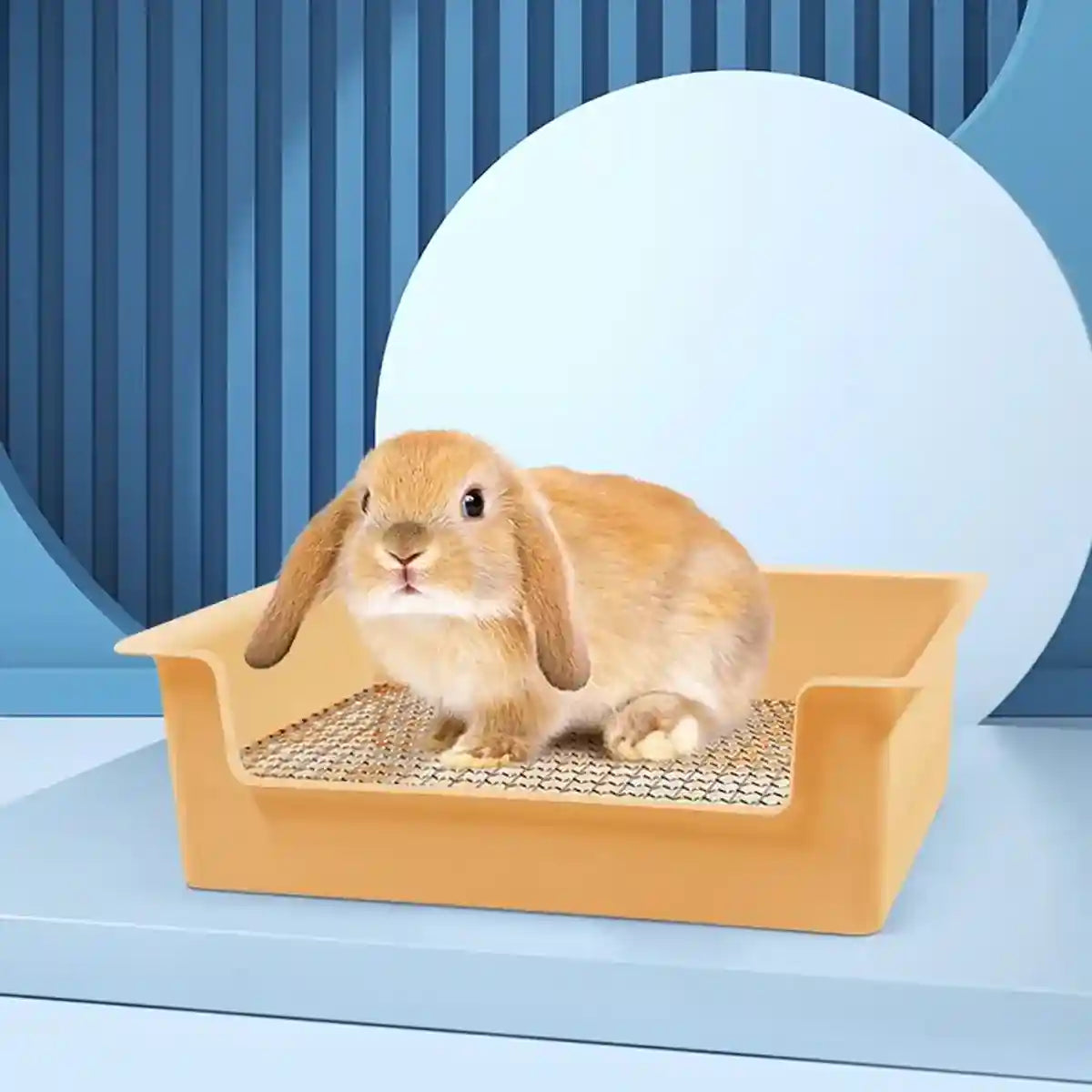 Hygienic Cage Setup with Stainless Grid Rabbit Litter Box