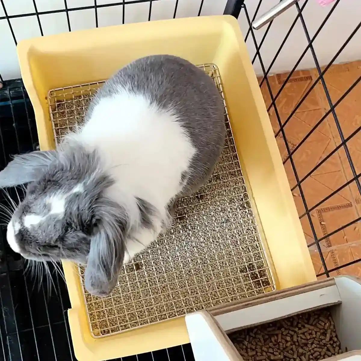 Hygienic Cage Setup with Stainless Grid Rabbit Litter Box