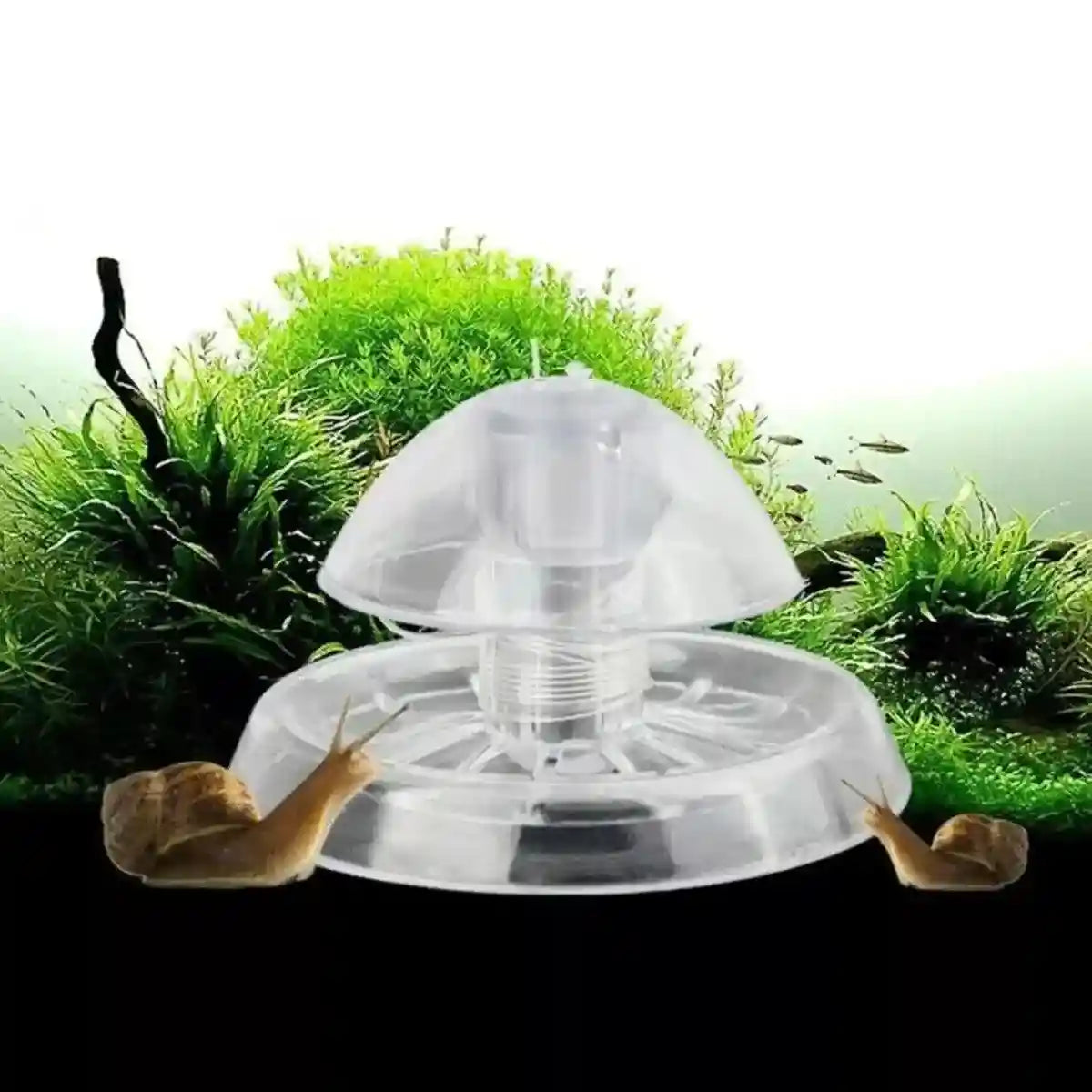 5-Pack Snail Traps for Aquariums Effective Pest Control for Freshwater & Saltwater Tanks