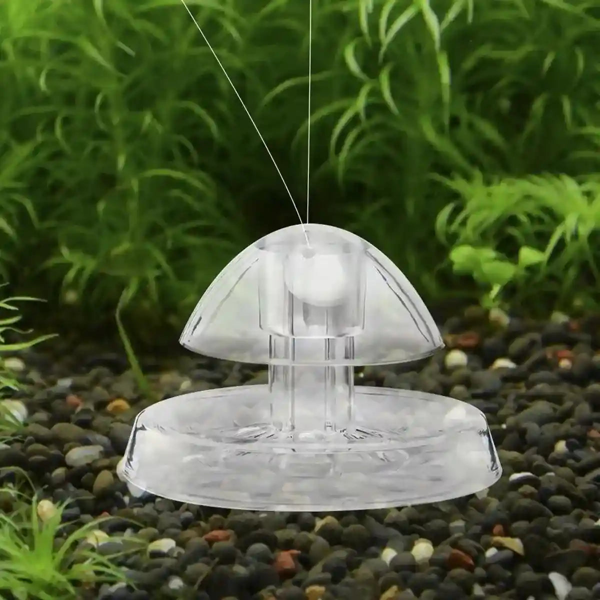 5-Pack Snail Traps for Aquariums Effective Pest Control for Freshwater & Saltwater Tanks