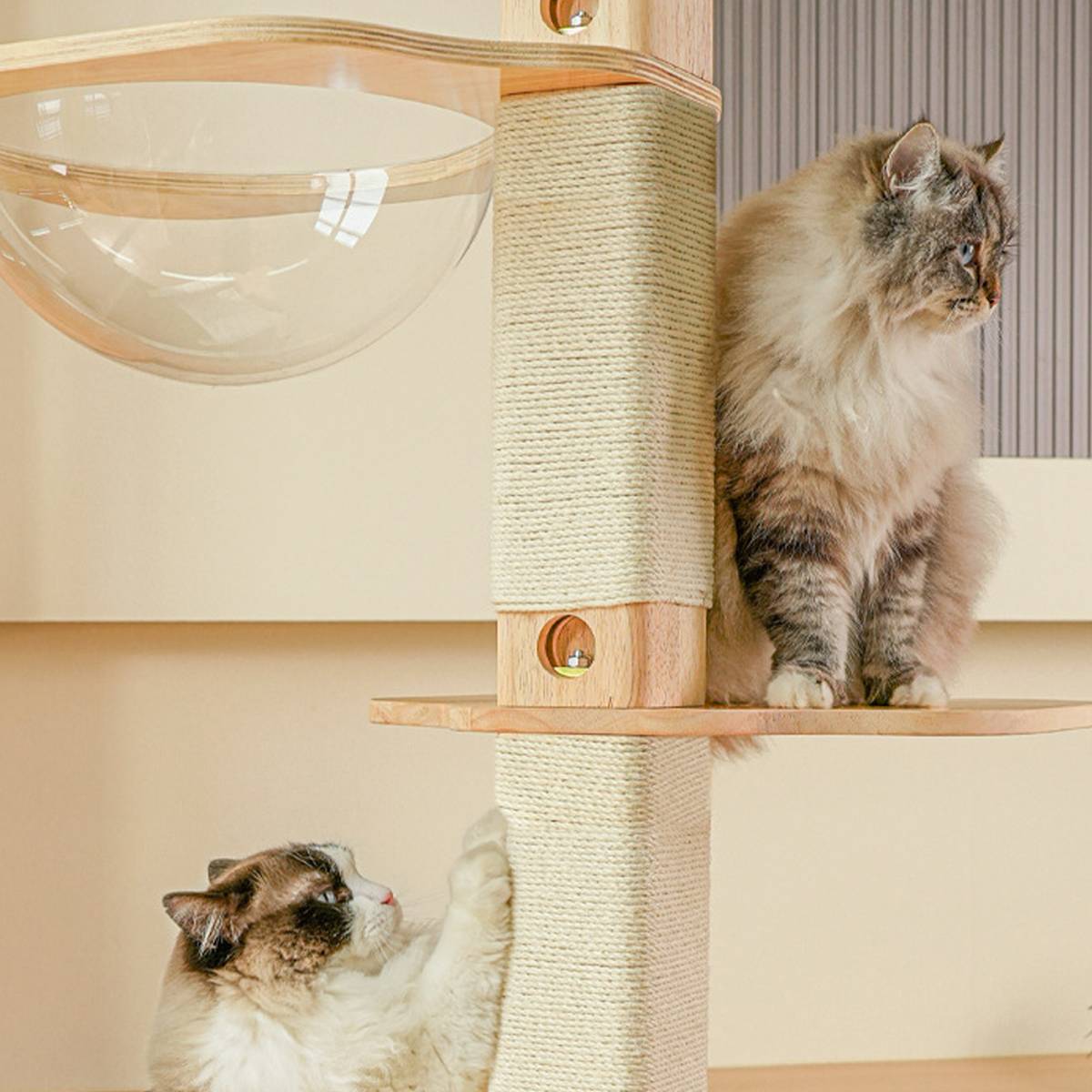 Solid Wood Floor to Ceiling Cat Tree | Adjustable Height Cat Tower