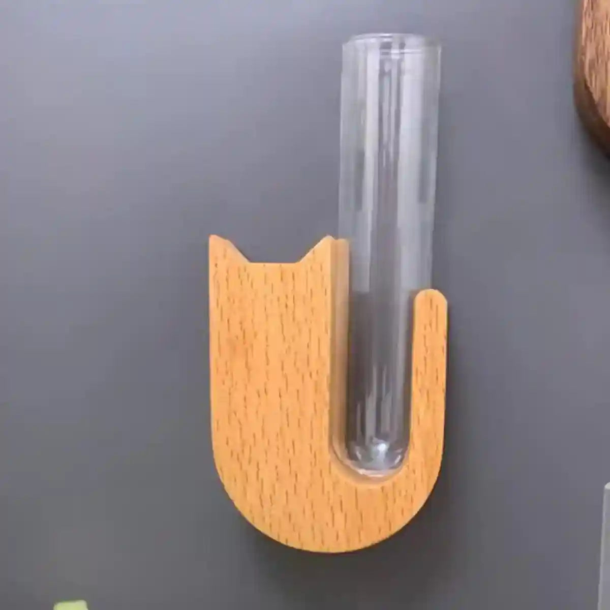 Pet Hair Memorial Box Fridge Magnet Keepsake Whisker Collector Storage Case