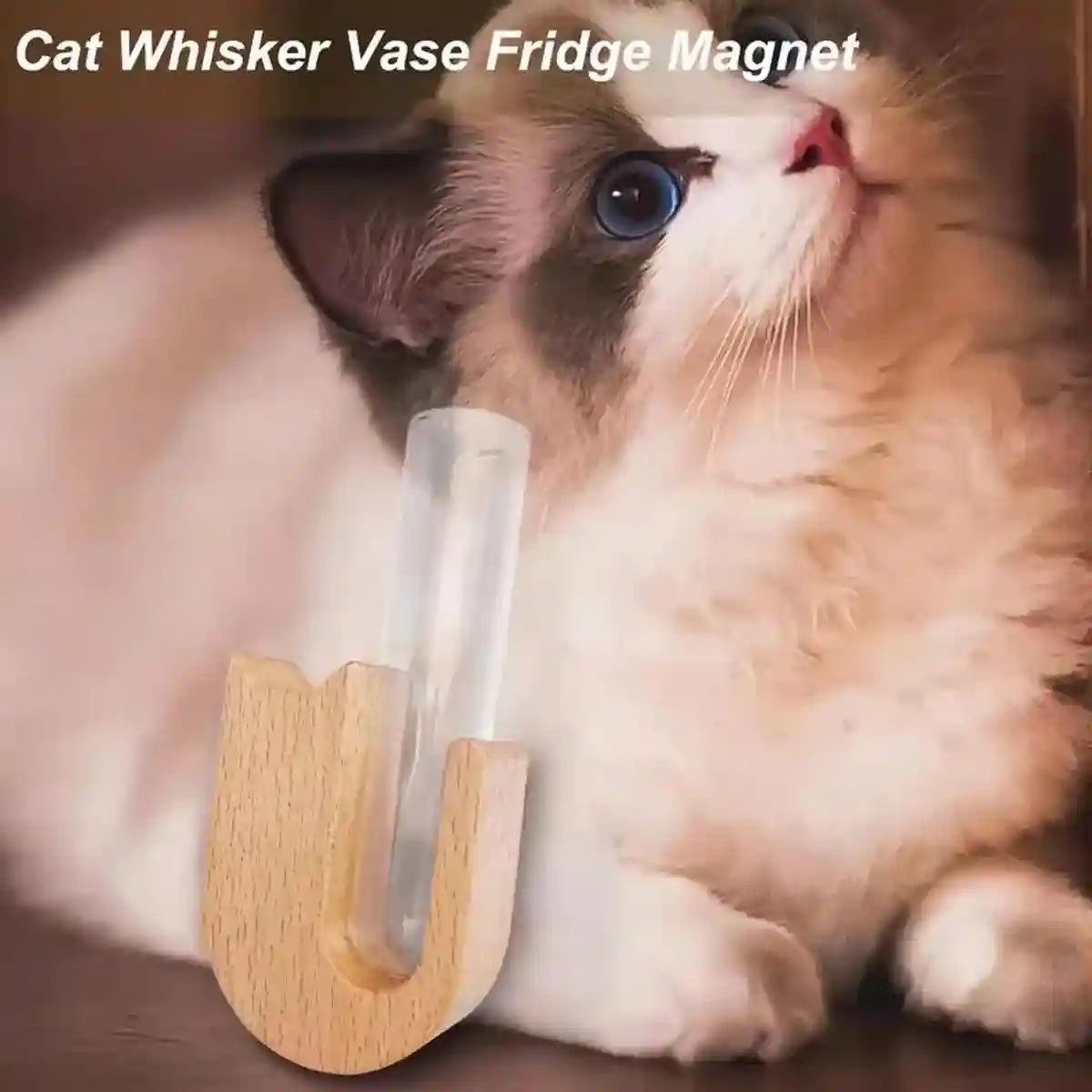 Pet Hair Memorial Box Fridge Magnet Keepsake Whisker Collector Storage Case