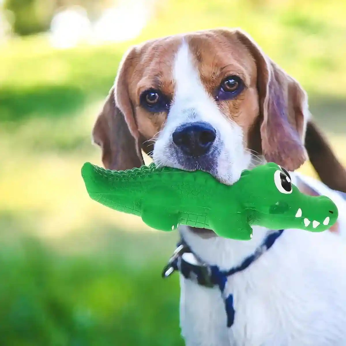 Latex Crocodile Dog Toy Interactive Squeaky Chew Toy for Dogs