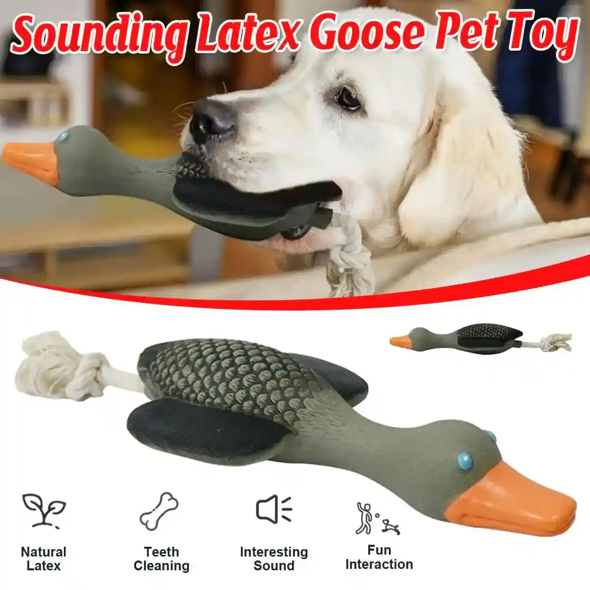 Natural latex squeaky dog toy with rope tail