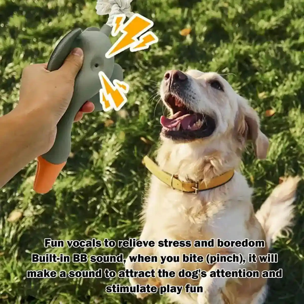 Durable Squeaky Dog Toy with Rope Tail for Interactive Chewing Fun