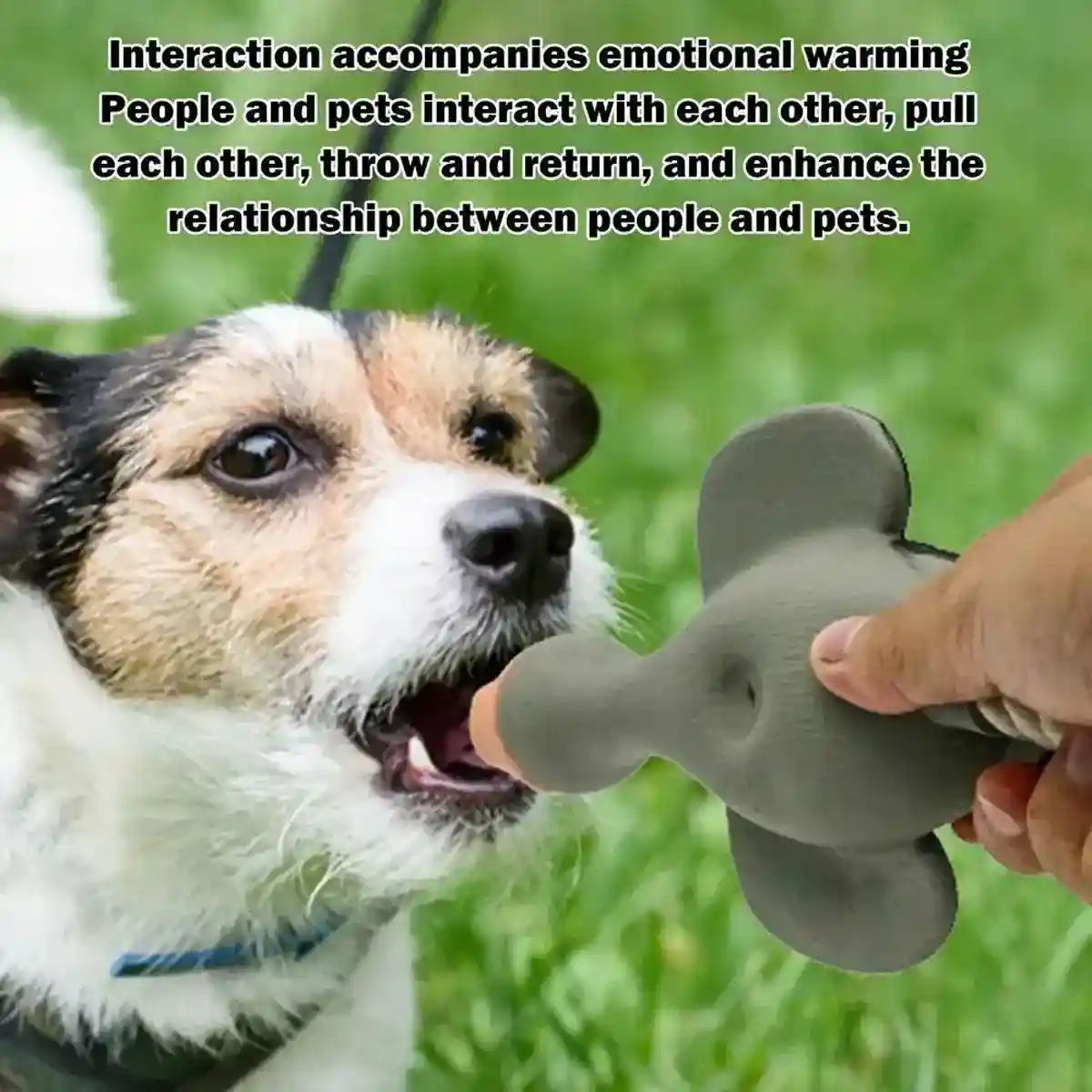Durable Squeaky Dog Toy with Rope Tail for Interactive Chewing Fun