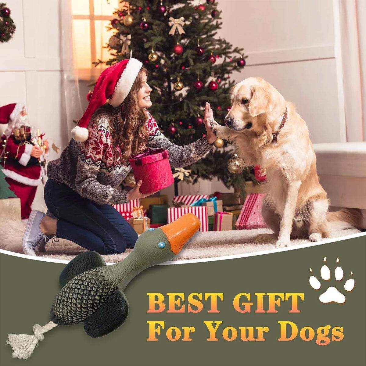 Durable Squeaky Dog Toy with Rope Tail for Interactive Chewing Fun