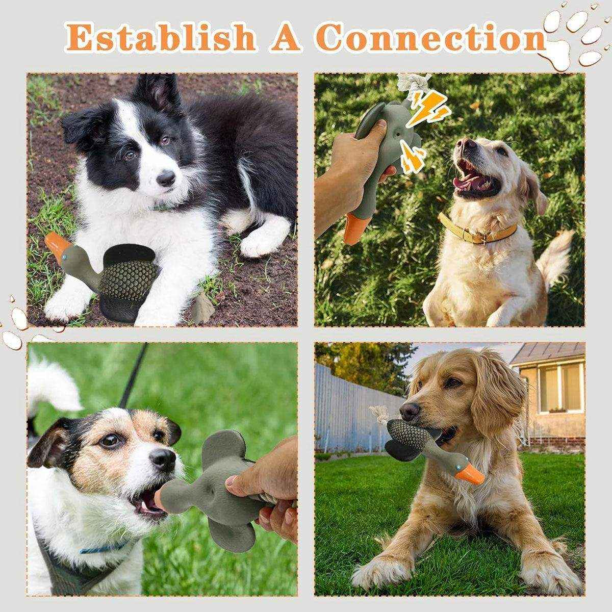 Durable Squeaky Dog Toy with Rope Tail for Interactive Chewing Fun