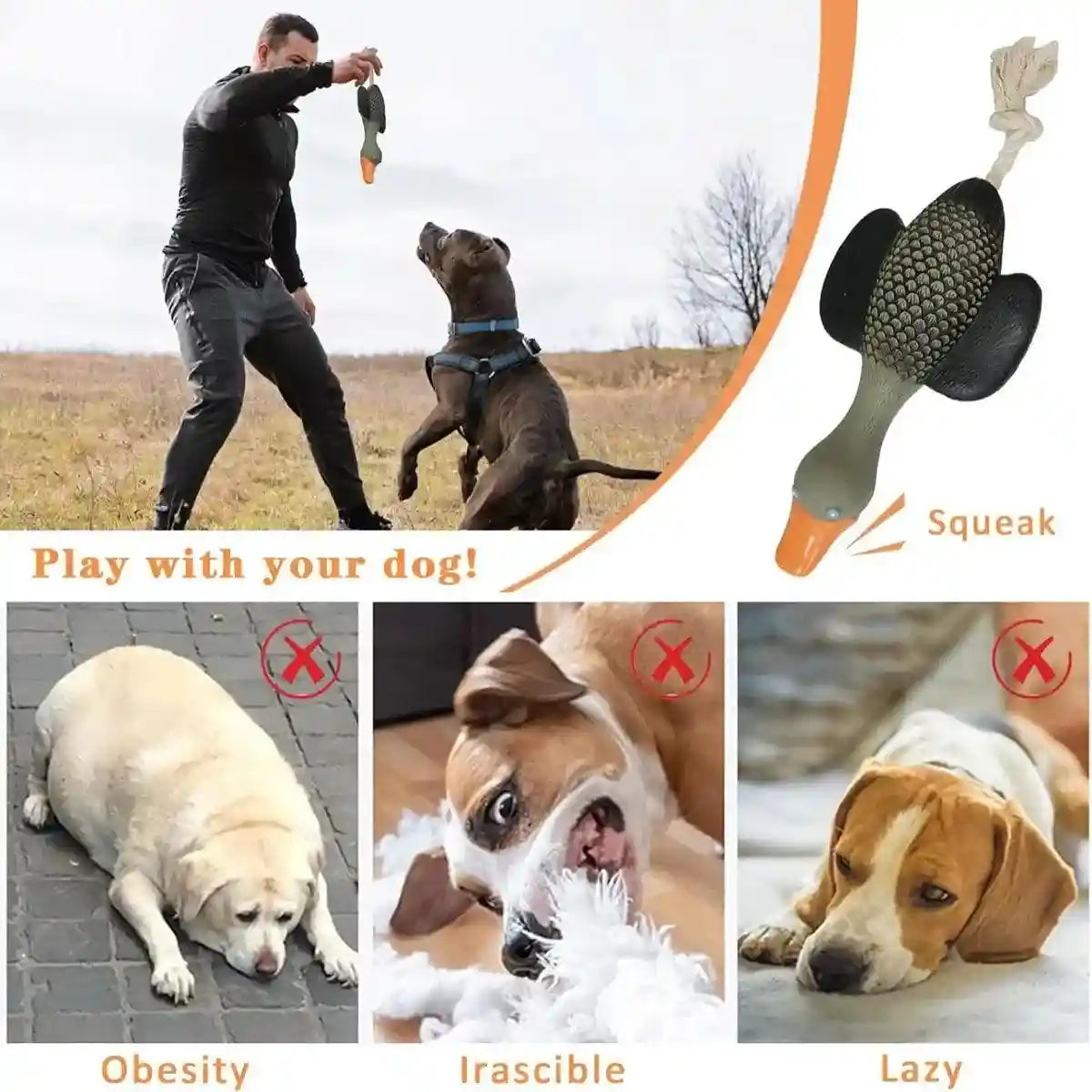 Durable Squeaky Dog Toy with Rope Tail for Interactive Chewing Fun