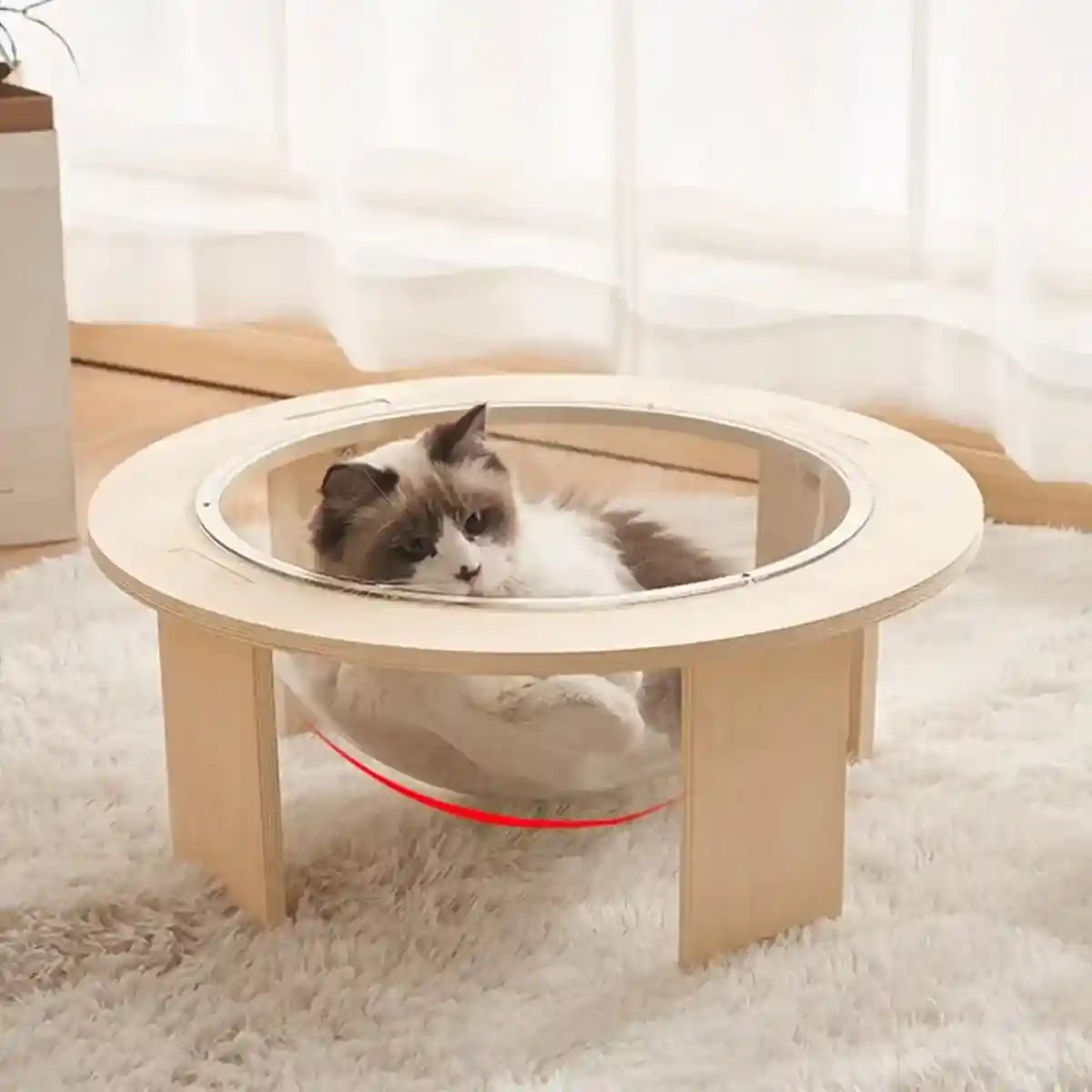 Modern Wooden Stand Space Capsule Cat Nest with Clear Bowl