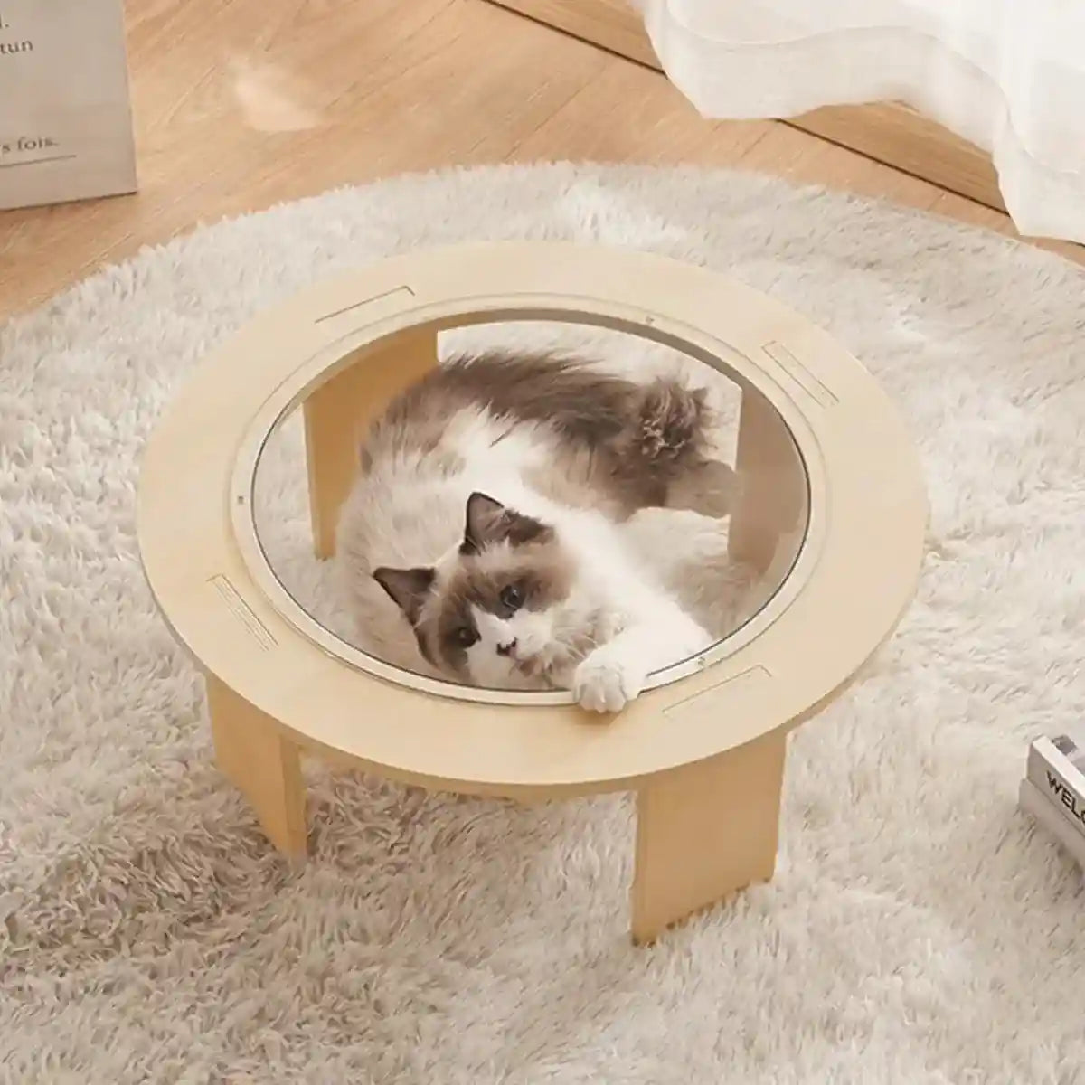 Modern Wooden Stand Space Capsule Cat Nest with Clear Bowl