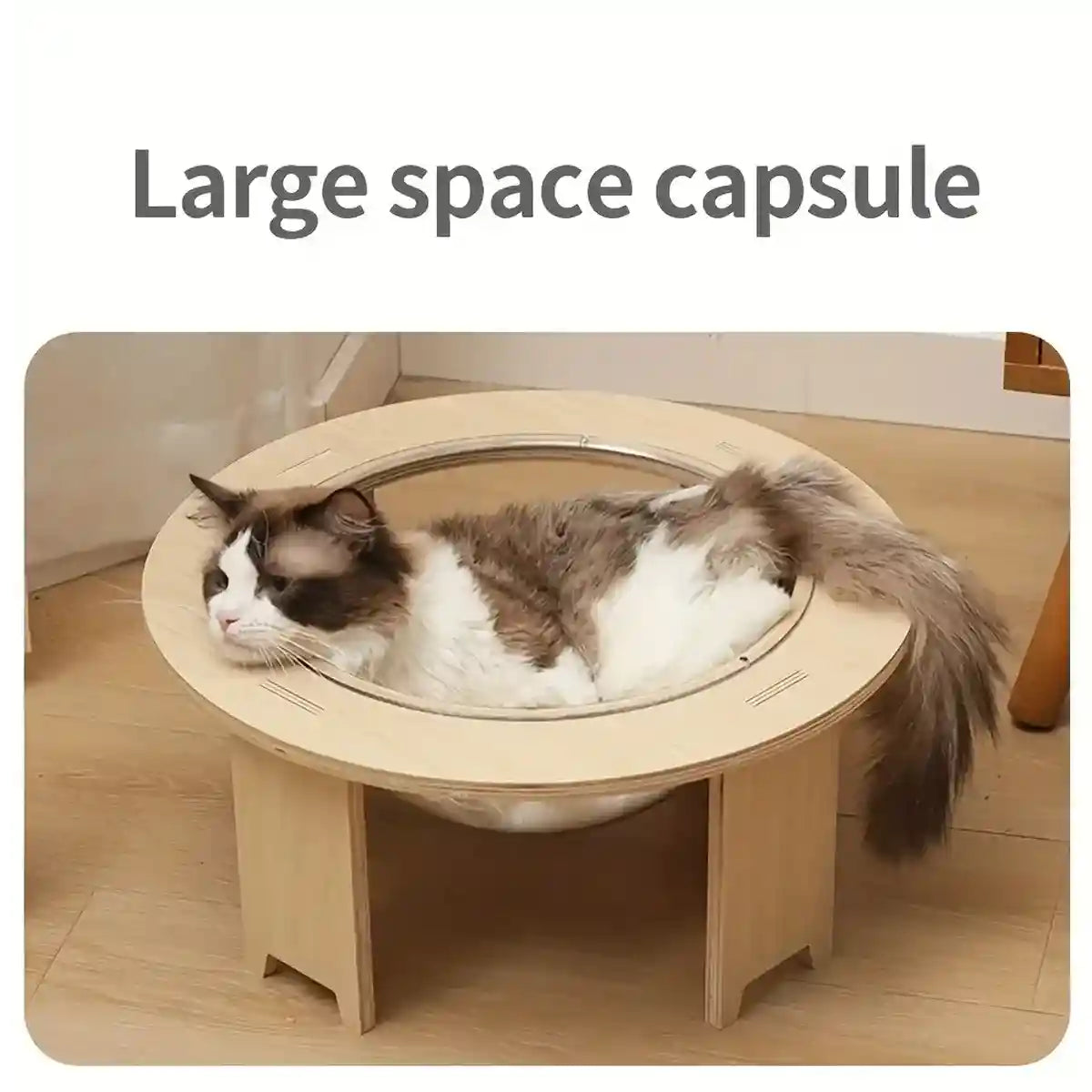 Modern Wooden Stand Space Capsule Cat Nest with Clear Bowl