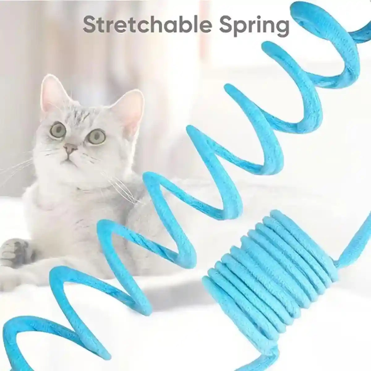 3pcs Interactive Spring Cat Toy Set