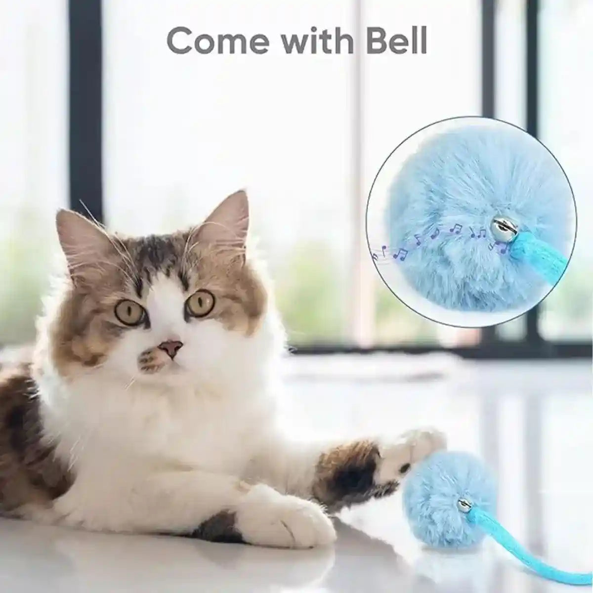 3pcs Interactive Spring Cat Toy Set
