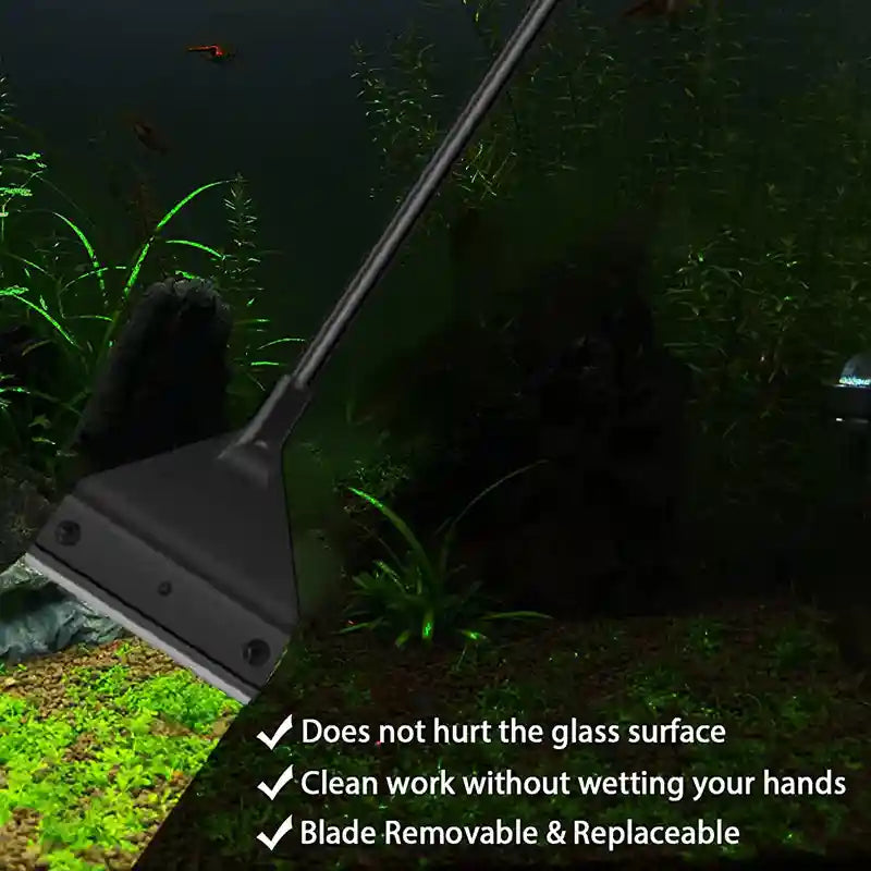 Stainless Steel Algae Scraper