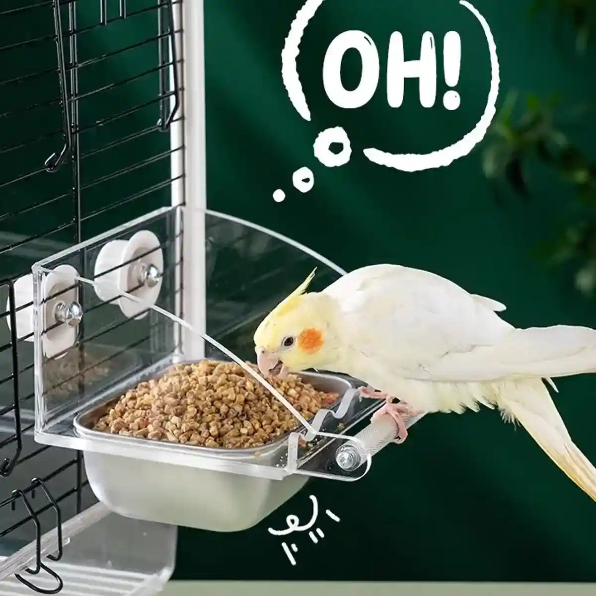 Durable Stainless Steel Bird Bowl with Acrylic Feeder for Mess-Free Feeding