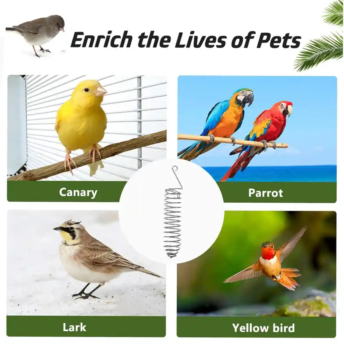 Stainless Steel Spiral Bird Feeder