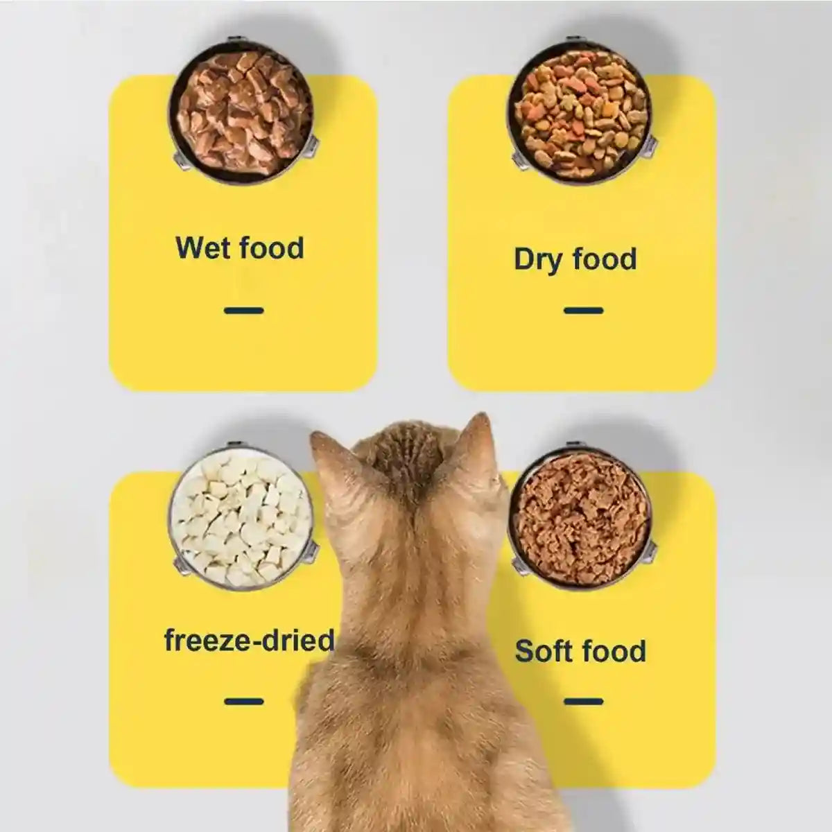 Stainless Steel Pet Food Storage Container with Airtight Locking Clips