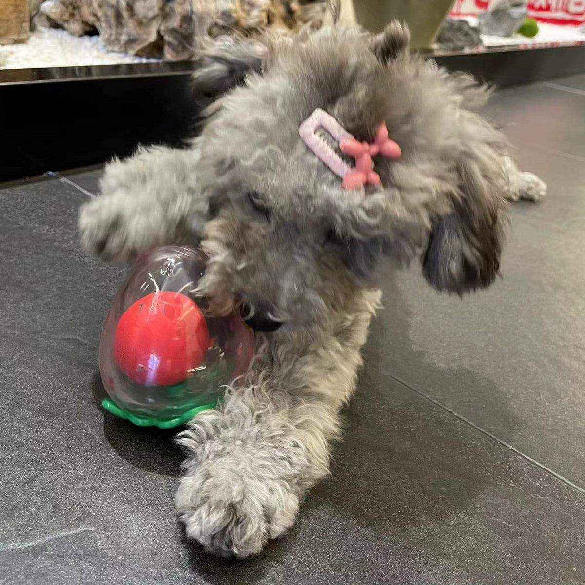 Strawberry Squeaky Dog Toy Durable Chew Toy for Interactive Play