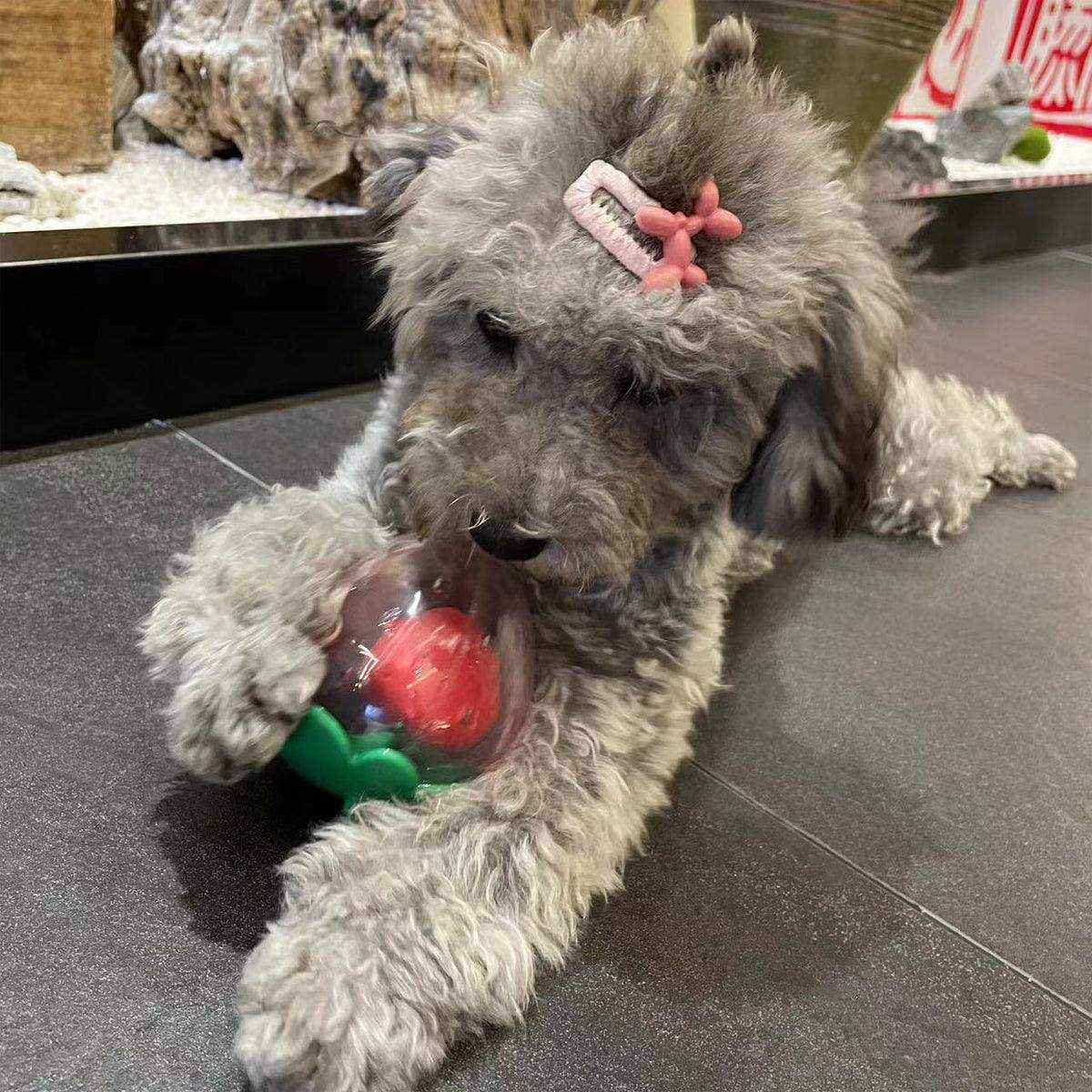 Strawberry Squeaky Dog Toy Durable Chew Toy for Interactive Play