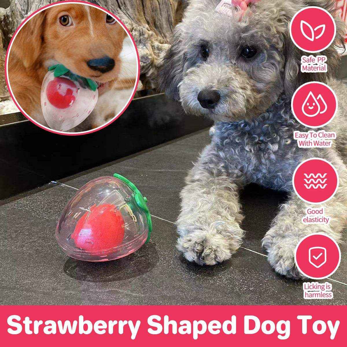 Strawberry Squeaky Dog Toy Durable Chew Toy for Interactive Play