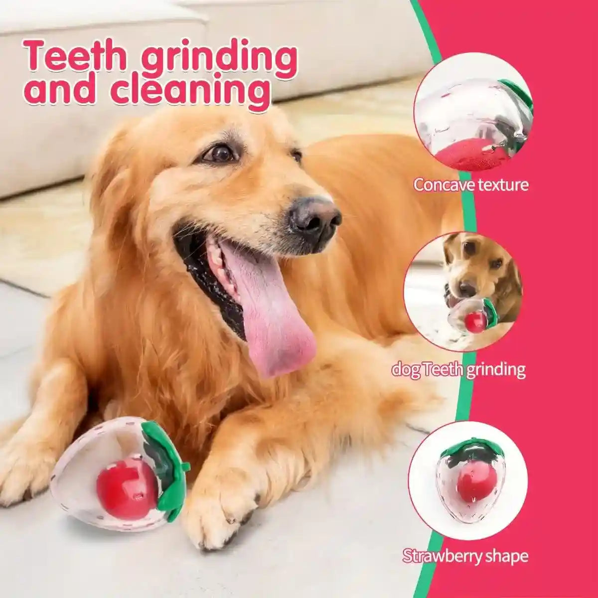 Strawberry Squeaky Dog Toy Durable Chew Toy for Interactive Play