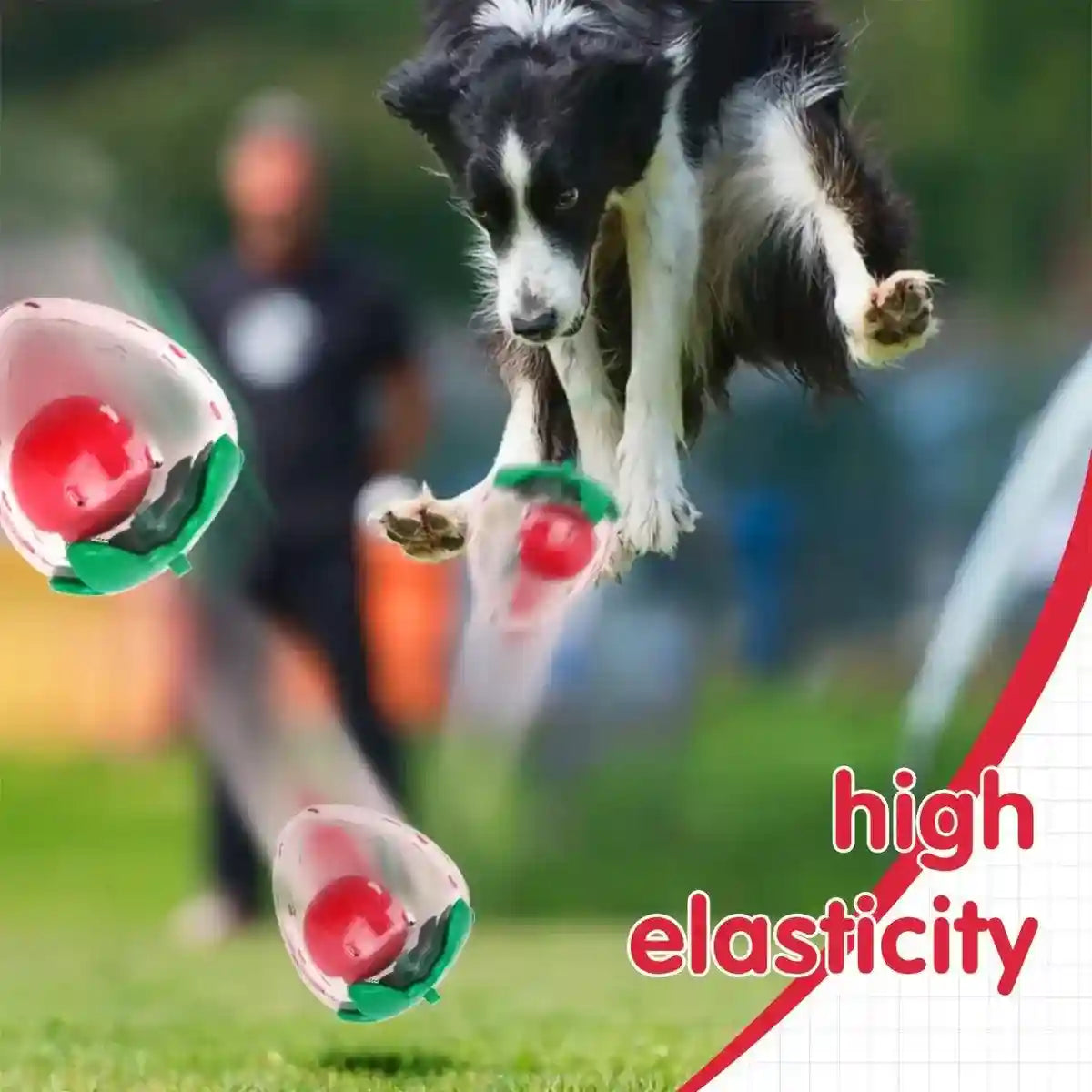 Strawberry Squeaky Dog Toy Durable Chew Toy for Interactive Play