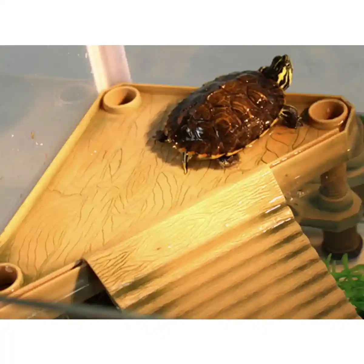Basking Turtle Platform with Ramp for Aquarium Reptile Tanks