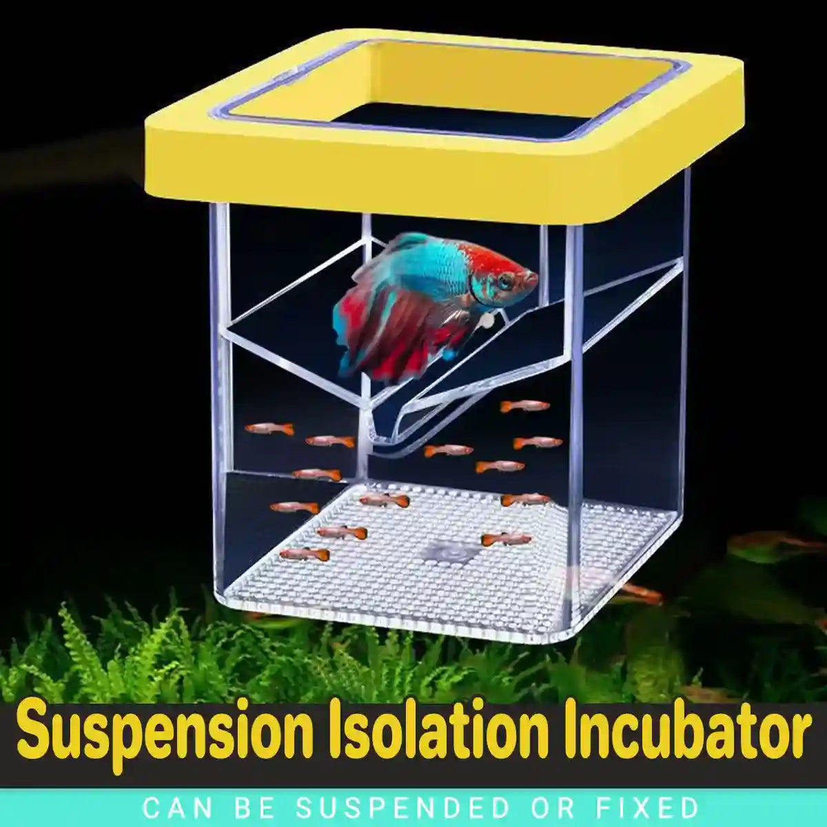 Suspended Fish Breeding Box Floating Isolation Tank