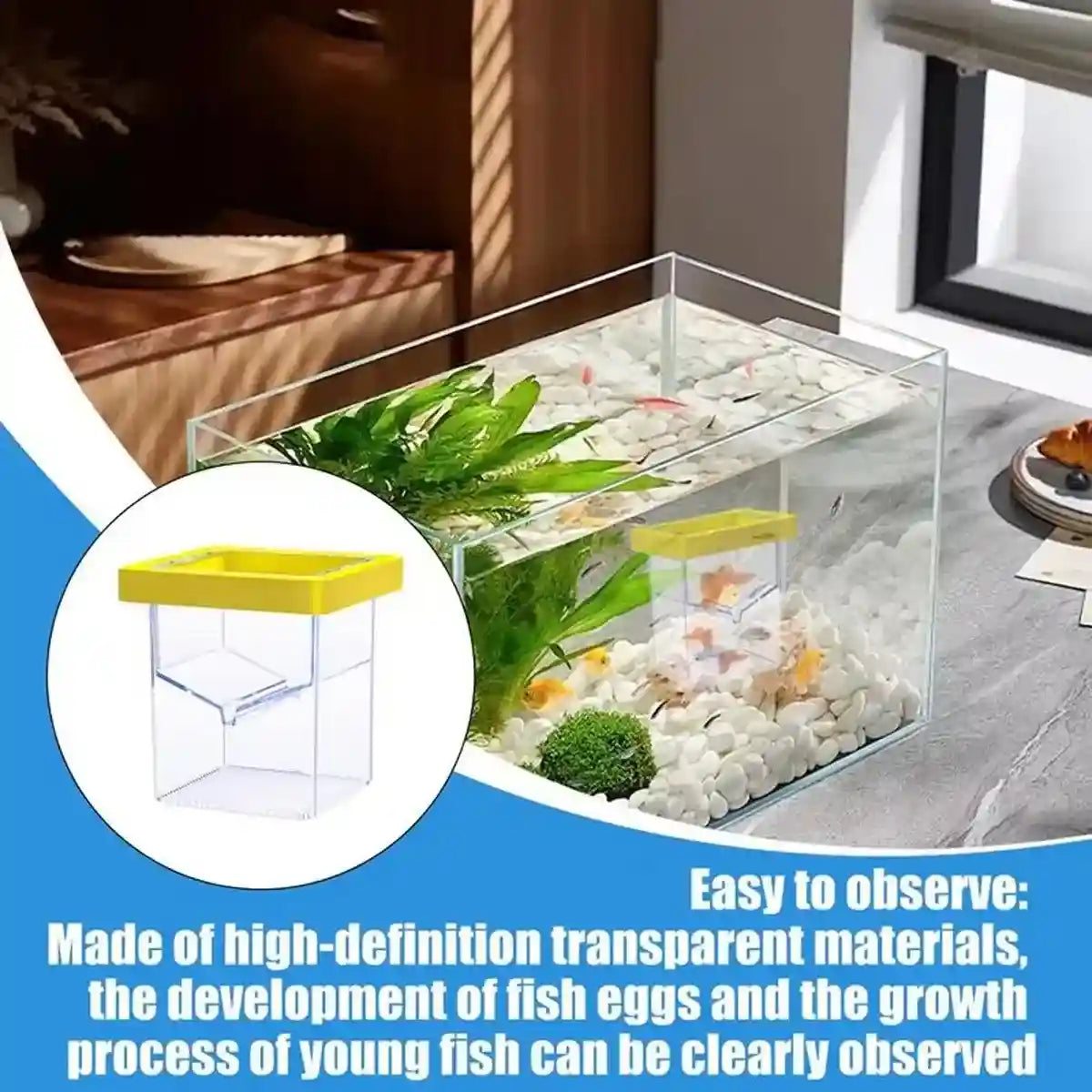 Suspended Fish Breeding Box Floating Isolation Tank