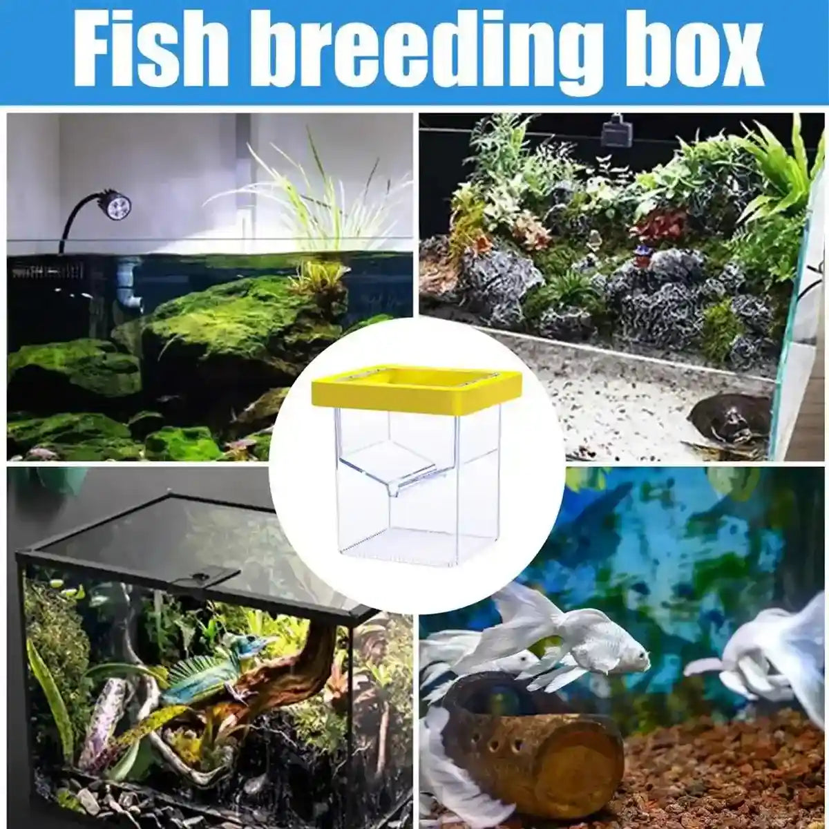 Suspended Fish Breeding Box Floating Isolation Tank