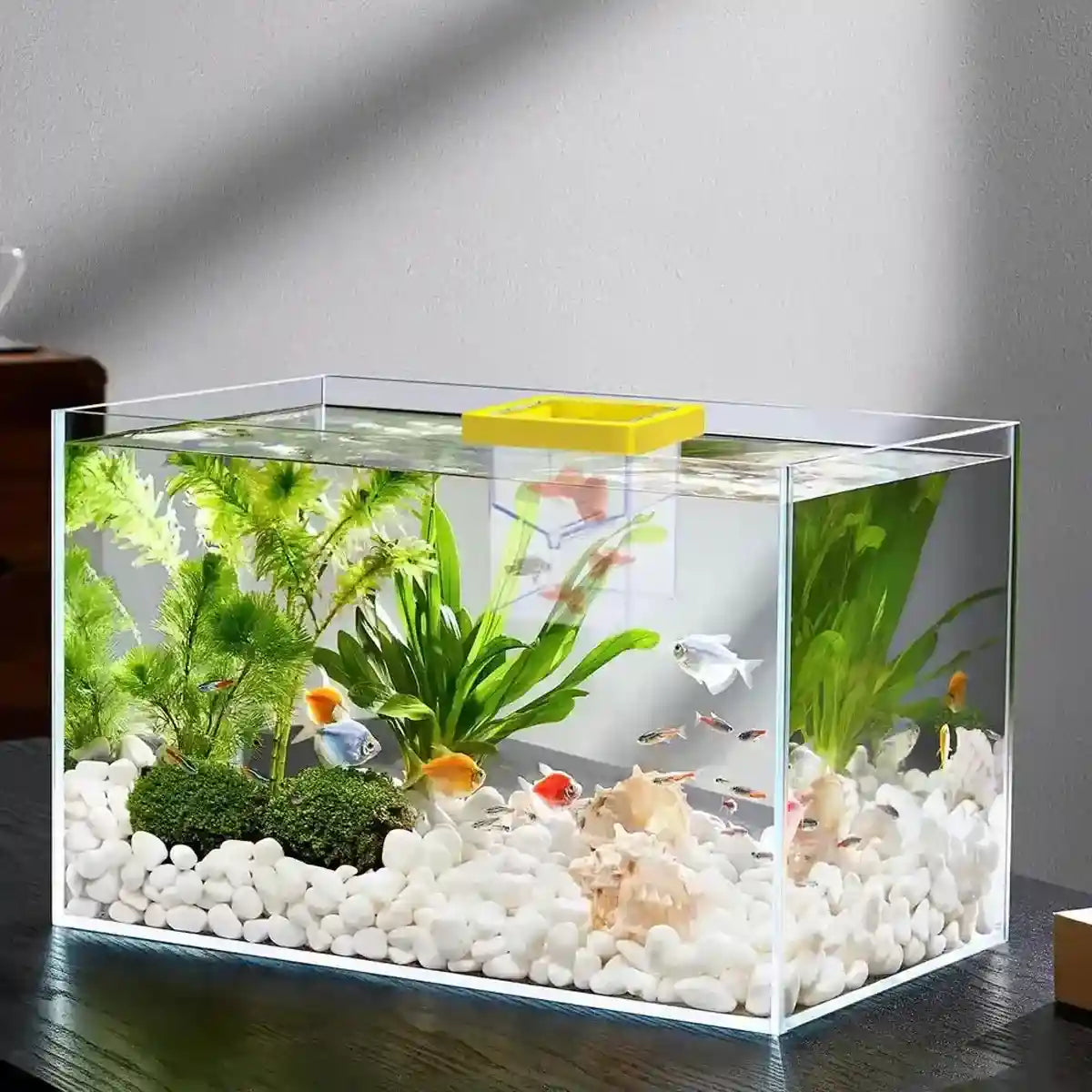 Suspended Fish Breeding Box Floating Isolation Tank