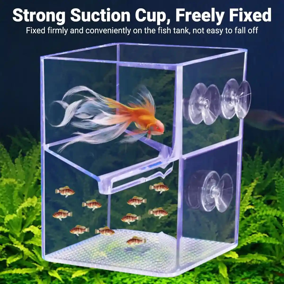 Suspended Fish Breeding Box Floating Isolation Tank