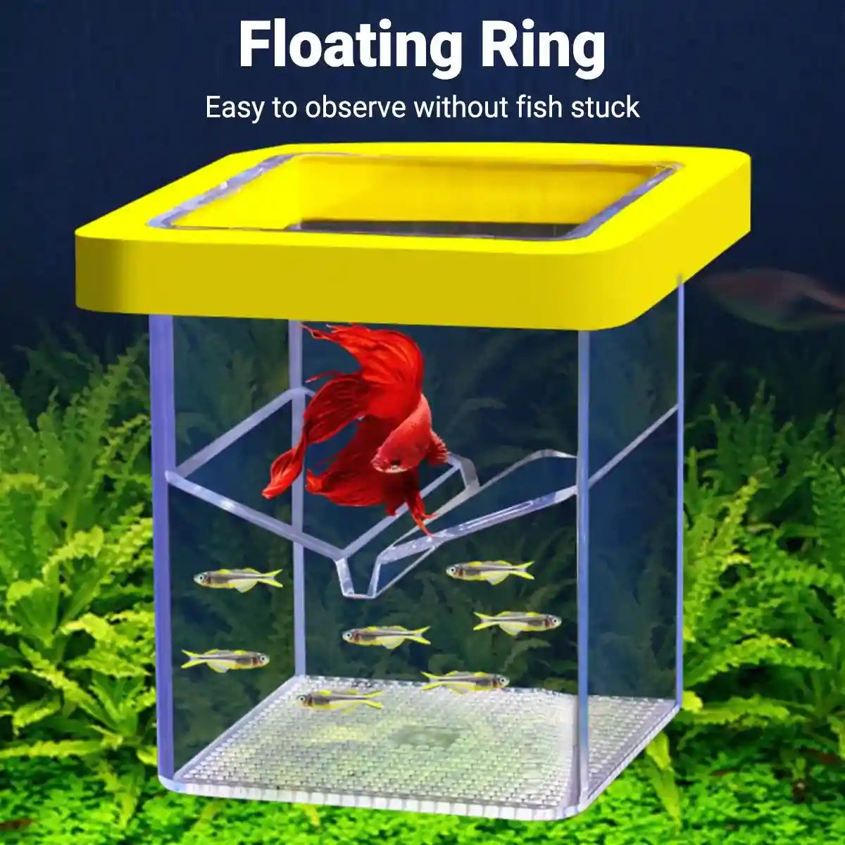 Suspended Fish Breeding Box Floating Isolation Tank