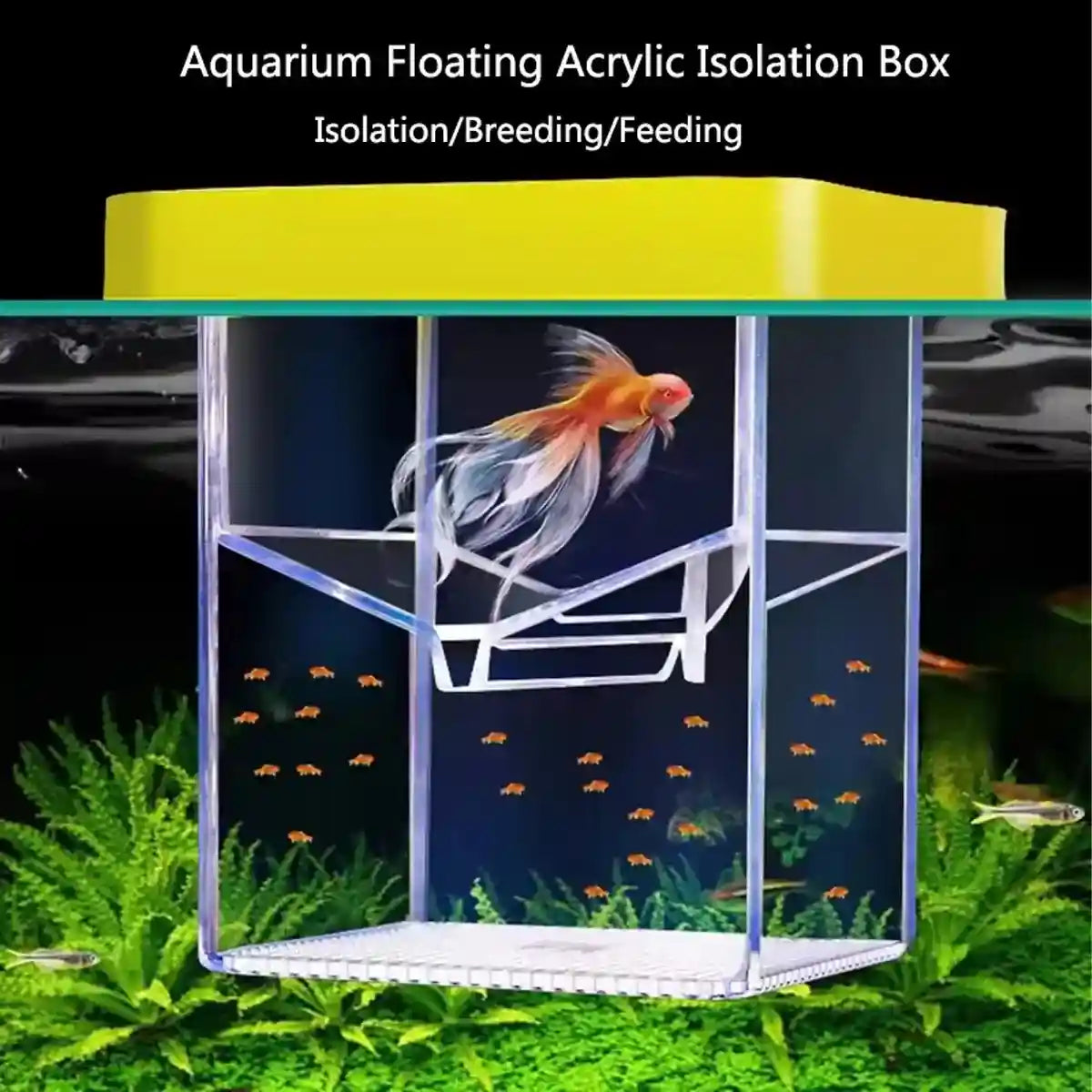 Suspended Fish Breeding Box Floating Isolation Tank