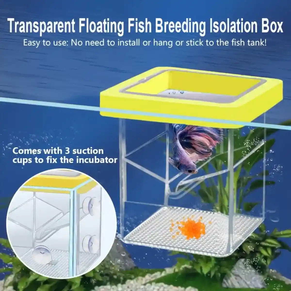 Suspended Fish Breeding Box Floating Isolation Tank