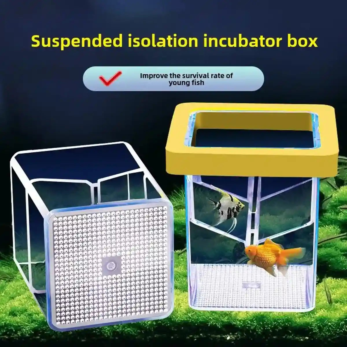 Suspended Fish Breeding Box Floating Isolation Tank